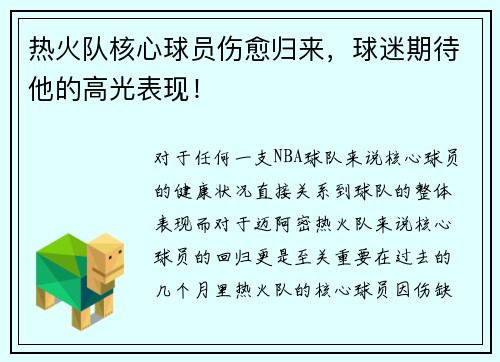 热火队核心球员伤愈归来，球迷期待他的高光表现！